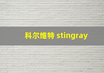 科尔维特 stingray